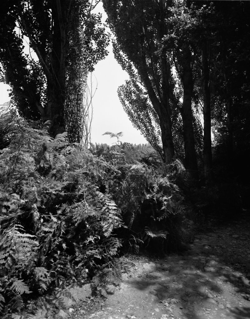 Alain Ceccaroli, Photographie Besançon les Amis